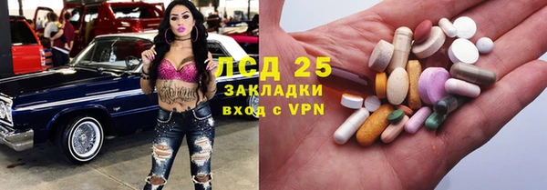 сатива Куйбышев