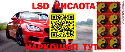 дживик Донской
