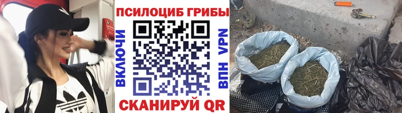 сайты даркнета официальный сайт Карабулак Псилоцибиновые грибы MAGIC MUSHROOMS