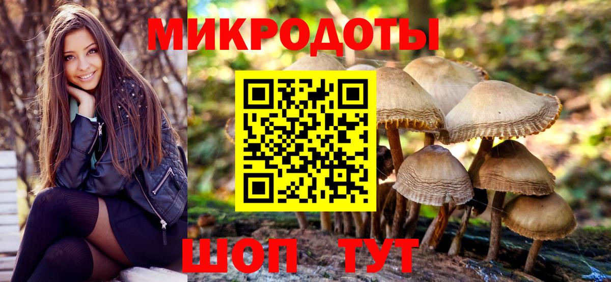 Галлюциногенные грибы Psilocybe  Вход с VPN  дарнет шоп  Карабулак 